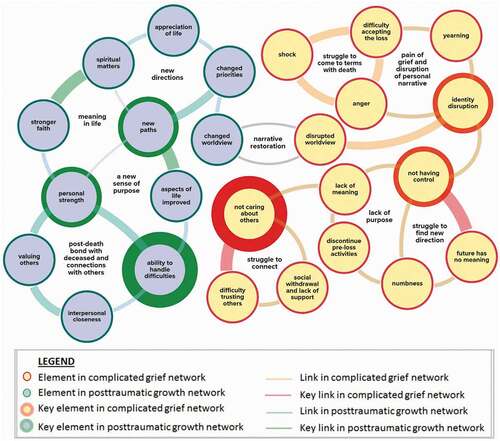 Figure 1. Relationships between posttraumatic growth and complicated grief.Adapted with permission from “Bereavement outcomes as causal systems: A network analysis of the co-occurrence of complicated grief and posttraumatic growth.” by B.W. Bellet et al. (Citation2018), Clinical Psychological Science, 6(6), 805. (https://doi.org/10.1177/2167702618777454).