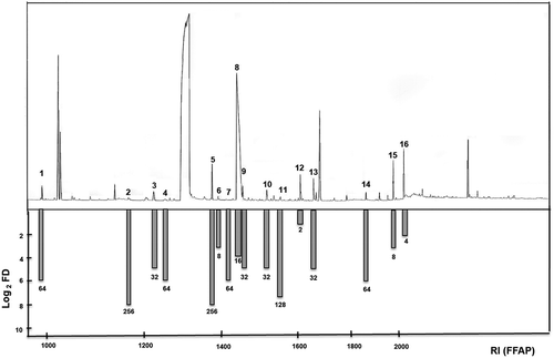 Figure 2. GC and AEDA analyses on FFAP column of odour-active compounds from Pouteria lucuma ripe fruit obtained by SAFE extract. Peak numbers correspond to the compound numbers in Table 2.Figura 2. Análisis por CG y AEDA en columna FFAP de los compuestos activos olfativamente en la fruta madura de Pouteria lucuma obtenidos a partir del extracto SAFE. Los números de los picos corresponden con los números de los compuestos en la Tabla 2.