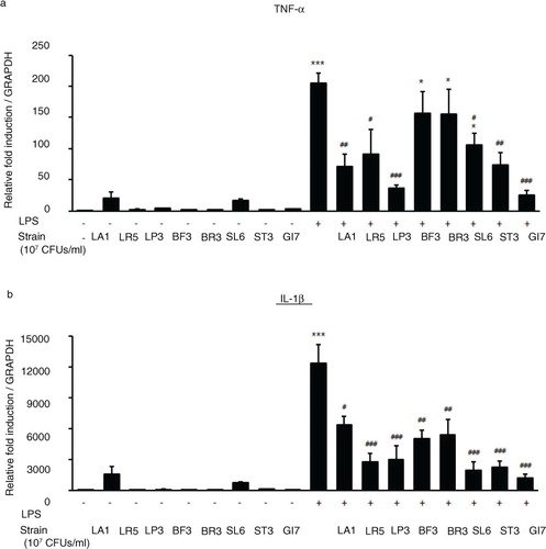 Fig. 9 Expression levels of TLR4-mediated proinflammatory cytokines TNF-α and IL-1β in RAW 264.7 cells cotreated with LPS and GI7 strains. Cells were treated 15 ng/mL LPS for 6 h with or without LA1, LR5, LP3, BF3, SL6, ST3, or GI7 (107 CFU/mL). Results are expressed as the mean+SD (n=6). *p<0.05, ***p<0.001 versus the control group (0 ng/mL LPS-treated cells); # p<0.05, ## p<0.01, ### p<0.001 versus the LPS-treated group.