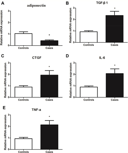 Figure 2 The mRNAs expression of adiponectin (A), TGF-β1 (B), CTGF (C), IL-6 (D) and TNF-α (E) in normal controls and tissues from keloid was detected by qPCR. Data represent three independent experiments.*P<0.05 versus the control group.