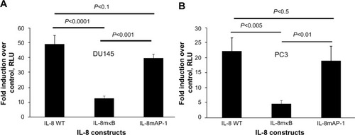 Figure 5 Induction of the IL-8 promoter by CpG-ODN requires NF-κB transcriptional activity.Notes: (A) DU145 and (B) PC3 cells were cotransfected with 1.0 μg of IL-8 promoter fused to luciferase (IL-8 WT-luc) or constructs with mutations in NF-κB (IL-8mκB) or AP-1 binding sites (IL-8maP-1), along with 0.1 μg of Renilla luciferase plasmid. After 24 hours, cells were transfected with CpG-ODN (1 μM) with or without EGCG pretreatment (40 μg/ml) for 24 hours. IL-8-luciferase activity was normalized to Renilla luciferase activity and represented as fold induction. Data shown are means ± SD of experiments performed in triplicate. Student’s t-test: values as indicated.Abbreviations: CpG-ODN, CpG oligodeoxynucleotides; EGCG, epigallocatechin-3-gallate; RLU, relative light units; SD, standard deviation; IL, interleukin; NF-κB, nuclear factor kappa-light-chain-enhancer of activated B cells; WT, wild-type.