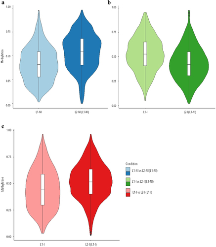 Figure 1. Violin plots of the overall distribution of methylation levels in all three comparisons: 1st lactation (n = 7) vs. 2nd lactation (n = 7) (blue), 1st (n = 5) vs. 2nd lactation with inflammation (n = 5) (green), and 1st (n = 5) vs. 2nd lactation with inflammation and previous inflammation history (n = 7) (red). The abscissa represents the different conditions in each comparison, the ordinate represents the level of methylation of the DMCs in that condition, and each violin represents the density of the point at that methylation level.