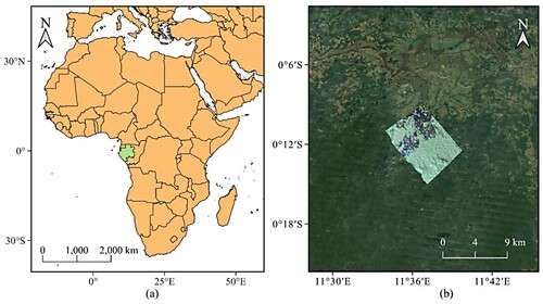 Figure 6. (a) Gabon, Africa (green polygon) and (b) the Pauli RGB image of the study area.