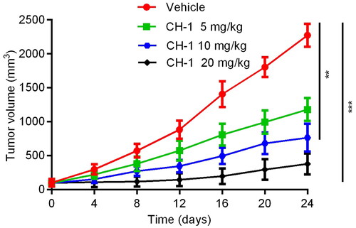 Figure 8. The tumour volume changed with time at different CH-1 concentrations. Data are presented as the mean ± SD, n = 3. ***p < 0.001 and **p < 0.01 mean a significant difference versus the vehicle group.