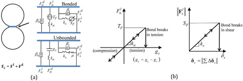 Figure 1. (a) Contact models and (b) force–displacement relations for normal and shear directions.