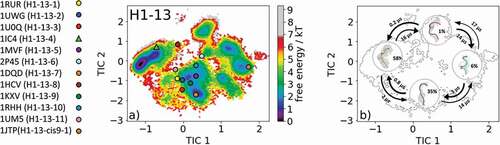 Figure 5. (a) Free energy surface of the CDR-H1 loop with a loop length of 13 residues including the projected 13 available canonical cluster median representatives. The legend and color-coding of all canonical cluster representatives are shown on the left. The canonical cluster representative used as starting structure for simulations is shaped as triangle, while all the other available canonical cluster median X-ray structures are visualized as circles. (b) Contours of the free energy surface are displayed in the background of the Markov-state model. The macrostate representatives with the respective macrostate ensemble and transition kinetics are also included. The macrostate representatives were colored independent of the canonical cluster representatives in (a) and summarize the kinetically relevant conformations of the CDR-H1 loop in solution. We obtained four macrostates, in which all canonical cluster medians are present