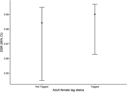 Figure 2. Relationship between daily survival rate (DSR) and radio tag deployment status of parental female adult Nightjar at Brechfa Forest, Carmarthenshire, Wales, 2013–2019. Daily survival results are based on 85 nests pooled across 2013–2019. The points represent the estimated mean DSR values, and the bars represent the 95% confidence intervals.