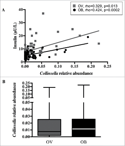 Figure 1. Collinsella relative abundance and maternal circulating insulin. (A) Positive correlation between genus Collinsella and insulin levels in overweight (black) and obese pregnant women (grey). (B) Collinsella abundance in overweight (black) and obese (grey) pregnant women.