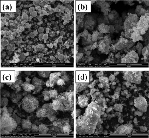 Figure 3. SEM images of (a) hierarchically porous NiO microspheres and (b, c, d) their ExC-based nanohybrids.