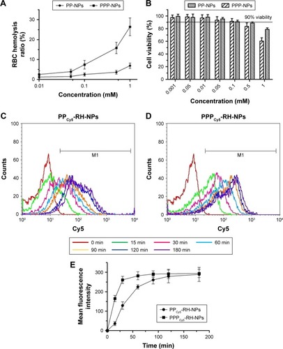 Figure 5 Hemolysis assay on RBCs (A) and cytotoxicity of PP-NPs and PPP-NPs on HK-2 cells (B). The internalization of PPCy5-RH-NPs (C) and PPPCy5-RH-NPs (D) on HK-2 cells was tested by flow cytometry. (E) Mean fluorescence intensity curves vs time. PP-NPs, PEG-PCL nanoparticles without loading RH; PPP-NPs, PEG-PCL-PEI nanoparticles without loading RH.Abbreviations: Cy5, cyanine 5; PEG-PCL, polyethyleneglycol-co-polycaprolactone; PEG-PCL-PEI, polyethyleneglycol-co-polycaprolactone-co-polyethylenimine; RBC, red blood cell; RH, rhein.