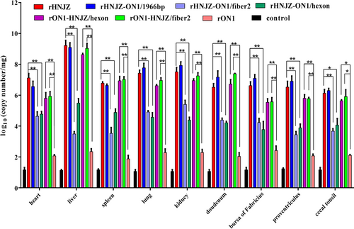 Fig. 5 Viral loads in different tissues of chickens inoculated with rescued FAdV-4.Heart, liver, kidney, spleen, lung, proventriculus, duodenum, bursa of Fabricius, and cecal tonsil tissue samples of chickens in each group were collected from dead chickens during the experiment or euthanized chickens at the end of experiment. Viral loads in different tissues were determined by a SYBR Green I quantitative real-time PCR using FAdV-4 ORF14 gene as an indicator for the presence of viral DNA. The final concentration was calculated as copy numbers per milligram of tissue sample. Results are presented at the means ± standard error of mean. Asterisks (*) mark the viral loads that were significantly different between the groups (p < 0.05)