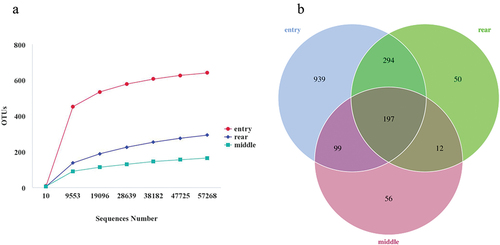 Figure 2. Bacterial OTU (operational taxonomic unit) spatial distribution in the intensive broiler house. (a) Rarefaction curve of the observed number of OTUs from samples of 16S rRNA gene; (b) Venn diagram displays the number of shared and unique OTUs among the house’s entry, middle, and rear. Different colors represent different groups. The overlapping portions represent the common taxa between groups, and the nonoverlapping portions represent unique taxa in each group.