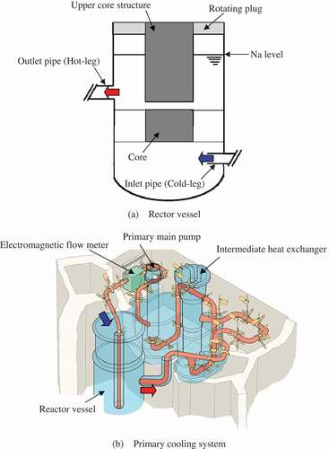 Figure 2. Schematic view of reactor vessel and primary cooling system of Monju.
