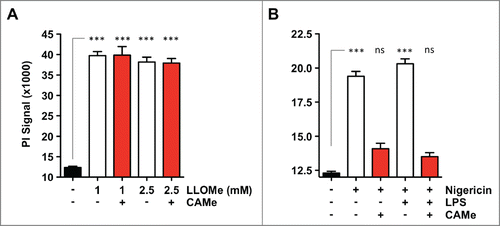 Figure 4. CA-074-Me is active in neutrophils. (A) C57BL/6-derived neutrophils were challenged with 2 mM LLOMe for 2 hours in the absence or presence of 100 μM CA-074-Me (CAMe). (B) C57BL/6-derived neutrophils were primed with 250 ng/ml LPS for 2 hours, and then challenged with 10 μM nigericin for 2 hours in the absence or presence of 100 μM CA-074-Me. Cell death was determined by PI exclusion assays. Data show represent a representative experiments performed in triplicate. ns, not significant; ***P< 0.001.