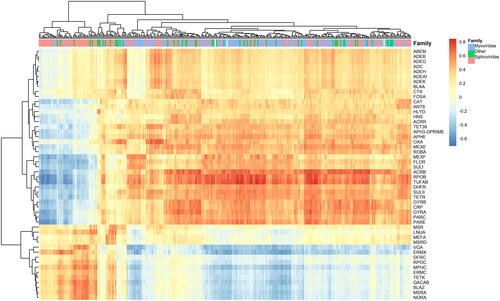 Figure 4. Correlations among phages and ARGs. The two clusters are between phages from Myoviridae family and genes such as acrB, parE, rpoB and tufAB and Siphoviridae and genes such as blaZ, ermX, mphC, tetK, vga.