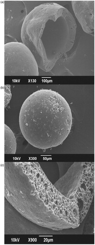 Figure 2. SEM image showing microsphere with a central hollow cavity (a); SEM image of the surface of a hollow microsphere – enlarged view (b); SEM image of a hollow microsphere wall-enlarged view (c).