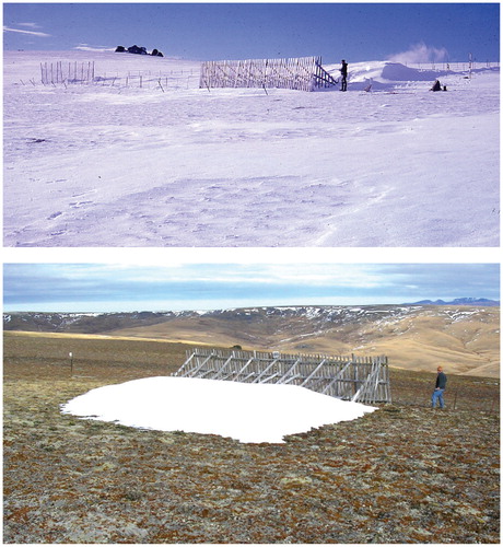 FIGURE 1. (Upper) View northeast to the crest of the Old Man Range in midwinter, showing accumulation of snow behind the snow fence, and a generally thin snow cover with a mostly icy surface in the foreground, indicating snow removal by the prevailing westerly wind. 2 July 1962. (Lower) View southwest, showing a late autumn pattern of snow-lie in the lee of the snow fence, typical of the temporary snow-lie during the nonwinter period. Note that snow has also accumulated in natural snowbanks on the leeward slope above the western side of the Fraser basin in the distance. 19 May 2005.
