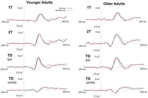 Figure 3. Event-related lateralizations. Grand-averaged ERLs for (A) younger adults and (B) older adults comparing trials with alerting cue (red dashed line) and no cue (black solid line) in the partial report conditions with a single target (1T), two targets in the same hemifield (2T), target and distractor in the same hemifield (TD ipsi), and target and distractor in opposite hemifields (TD contra).