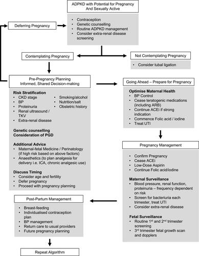 Figure 2 Algorithm for Pregnancy Management in Women with ADPKD.Abbreviations: ADPKD, autosomal dominant polycystic kidney disease; CKD, chronic kidney disease; PGD, pre-implantation genetic diagnosis; BP, blood pressure; UTI, urinary tract infection; ACEi, angiotensin-converting enzyme; ARB, angiotensin receptor blocker; ICA, intra-cranial aneurysm; TKV, total kidney volume.