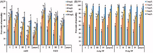 Figure 5. Larvicidal and pupicidal efficacy of (A) Aquilaria sinensis essential oil (AsEO), Pogostemon cablin essential oil (PcEO) and (B) green-synthesized silver nanoparticles using AsEO and PcEO against I-IV instar larvae and pupae of dengue and zika vector Aedes albopictus. Mortality was recorded after 24 h of exposure. No mortality was observed in the control. Different letters above each bar indicate significant differences among treatments (ANOVA, Tukey’s HSD test, p < .05).
