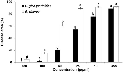 Figure 3. Effect of various concentrations of schizostatin on the incidence of anthracnose and gray mold in the detached pepper fruits. Mycelial plugs of Colletotrichum gloeosporioides and Botrytis cinerea were inoculated onto hot-pepper fruits pretreated with different concentrations of purified compound. Distilled water (Con) was used as negative control. Data are presented as mean ± standard deviation. Different letters above the bars indicate significant differences at P = 0.05.
