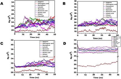 Figure 7. The radius of gyration (Rg) of filarial antioxidant proteins/enzymes with OS bioactive compounds as a function of time (50 ns). (A) Rg of complexed and free GST. (B) Rg of complex and free Trx. (C) Rg of complex and free GR. (D) Rg of complex and free SOD.