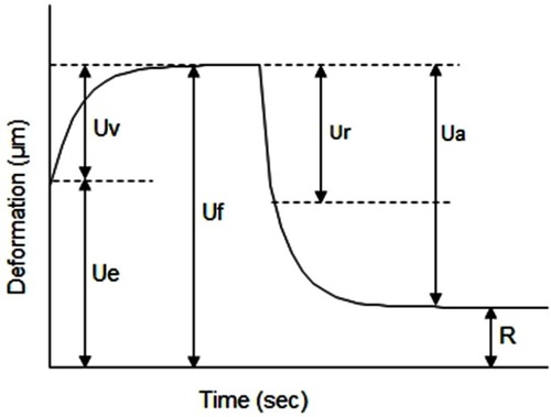 Figure 2 Skin deformation curve obtained with a cutometer depicting the immediate deformation or skin extensibility (Ue), delayed distension (Uv), final deformation (Uf), immediate retraction (Ur), total recovery (Ua) and residual deformation at the end of the measuring cycle (R).