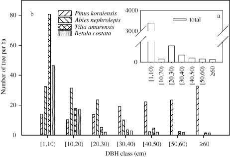 Figure 1. Diameter distribution for all live trees of each major species and for all species combined (inset).