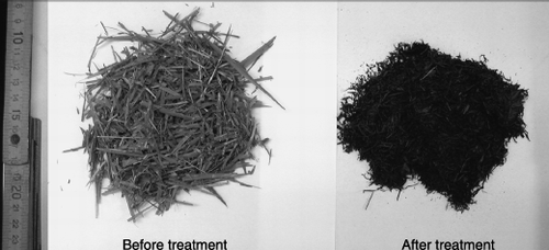 Figure 1  Photo of grass clippings before and after steam treatment.