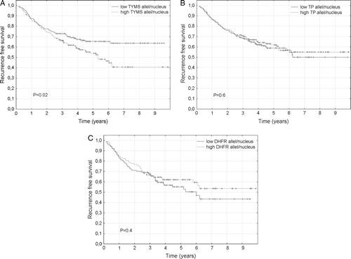 Figure 2.  Recurrence free survival following adjuvant chemotherapy of colorectal cancer stage II–IV by number of allele/nucleus for thymidylate synthase (A), thymidine phosphorylase (B) and dihydrofolate reductase (C) in tumor cells. Censored data are indicated (+).