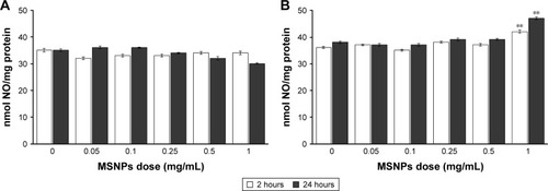 Figure 4 Effect of MSNPs on endothelial dysfunction assessed by measuring NO production.Notes: HUVECs were incubated with different concentrations, ranging from 0.05 to 1 mg/mL MSNPs of 250 nm (A) or 30 nm (B) for 2 or 24 hours. NO production was measured in conditioned media by Griess method. Data are mean ± standard error of three separate experiments performed in triplicate. Results were compared by Student’s t-test. **P<0.01; 0 dose of MSNPs indicates untreated cells.Abbreviations: MSNPs, mesoporous silica nanoparticles; HUVECs, human umbilical vein endothelial cells.