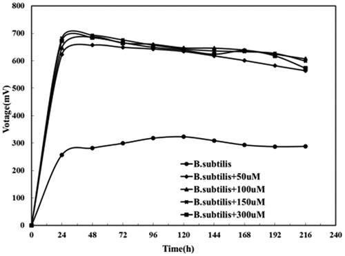 Figure 9. Effects of different riboflavin concentrations on the output voltage of Bacillus subtilis.