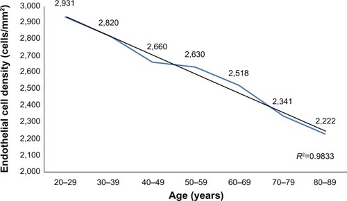 Figure 1 The change in endothelial cell density across age groups.