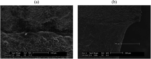 Figure 1. Secondary electron SEM images of RR1000 HIP alloy electropolished for 120 min at 10 V in 2Eg:ChCl, (a) image showing the boundary region between unpolished (top) and polished (bottom) surfaces, (b) SEM in profile showing the etch-step edge (taken with permission from ref. Citation15).