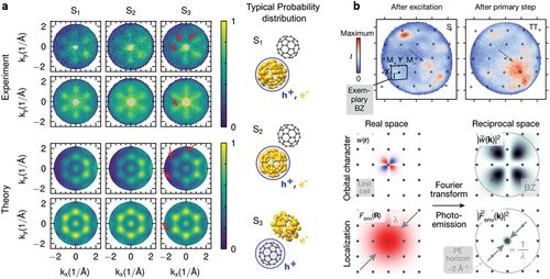 Figure 11. Real-space analysis of the exciton wavefunction in organic semiconductors. (a) in ref.  [Citation56], the authors directly compare the momentum microscopy data of a C60 multilayer to ab-initio calculations based on the GW+BSE framework and EquationEquation (4)(4) I(Ekin,k)∝|Ak|2∑v|∑cXvc(m)F[χc](k)|2×δ(ℏωprobe−Ekin−Ev+Eexc).(4) . Whereas the momentum fingerprints for the lower-energy S1 and S2 exciton bands are accurately predicted, the theory fails to fully explain the differences in the S3 momentum fingerprints. These limitations are attributed to the limited size of the unit cell in the calculations. Nevertheless, the comparison of experiment and theory supports a CT-nature for the S3 exciton band. (b) in pentacene crystals, the optically bright singlet exciton at 1.81 eV decays by singlet fission into a pair of triplet excitons. Neef et al.  [Citation57] exploit the Fourier relationship between orbital and trARPES data to probe the exciton localization. They observe that the optically excited singlet (S, top-left) shows well-defined peaks in momentum, while the bitriplet (TT, top-right) is spread out, i.e. The excited state transitions from a delocalized to a localized state. Panel a is adapted from ref.  [Citation56] and panel b is adapted from ref.  [Citation57] under Creative Commons Attribution License 4.0 (CC BY).