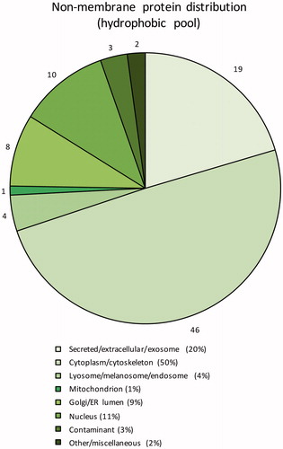 Figure 4. Subcellular localisation of the identified non-membrane proteins in the hydrophobic fraction based on GO annotations. Numbers outside pie chart represent the actual numbers of proteins identified in each subgroup.