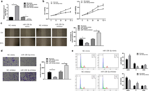 Figure 2. miR-139-3p restrains cell proliferation, migration, invasion, and arrests cell cycle in GC. (a) miR-139-3p level was measured by qRT-PCR; MTT (b), wound healing (c), Tranwell (d) and FCM (e) assays were for cell proliferation, migration and invasion along with cell cycle changes detection, respectively. * P< 0.05.