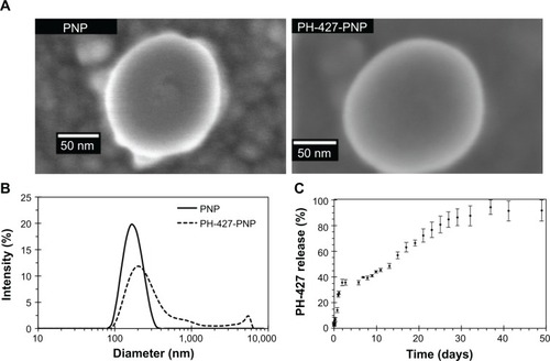 Figure 2 Characterization of the nanoparticles.Notes: (A) Scanning electron microscopy images show a smooth surface for PLGA polymeric nanoparticles and drug-loaded PH-427-PNP. (B) Dynamic light scattering spectra of PNP and PH-427-PNP were used to determine the average diameter and polydispersity index of each nanoparticle, based on an average of ten measurements. (C) Experimental release of PH-427 from the PNP was performed in phosphate-buffered saline at pH 7.4 and 37°C, and then fit to a model that evaluates initial burst and slow relaxation of drug release.Abbreviation: PLGA, poly(lactic-co-glycolic acid); PNP, poly(lactic-co-glycolic acid) polymeric nanoparticles.