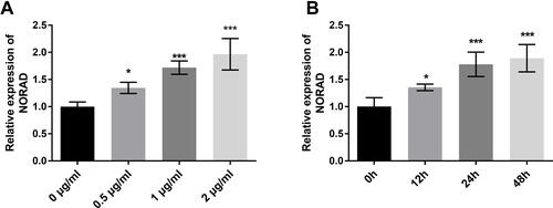 Figure 3 The increasing dosage (A) and processing hours (B) of LPS contributed to the upregulation of NORAD. *P < 0.05, ***P < 0.001.