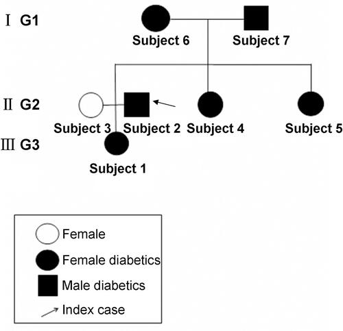 Figure 1 A pedigree with family type 2 diabetes. Subject 1, 2, 3, 4, 5, 6 and 7 represented diabetes patient 1, 2, 3, 4, 5, no-diabetes patient 6 and diabetes patient 7, respectively. I G1, II G2 and III G3 represented the generation 1, generation 2 and generation 3, respectively.