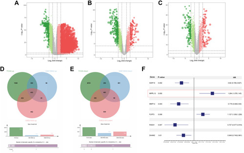 Figure 1 Identification of DEGs shared between the three public databases.