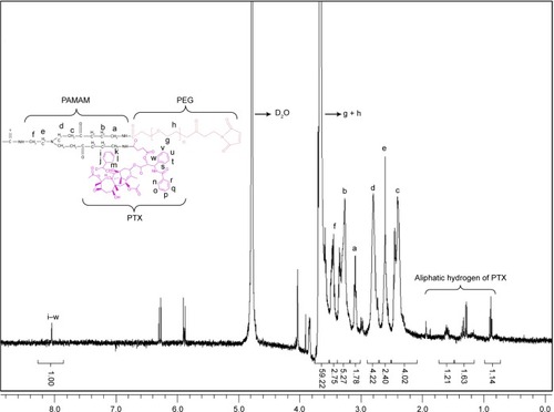 Figure 2 Proton nuclear magnetic resonance (1H-NMR) spectra of PEG-PAMAM-PTX in D2O at 400 MHz.Note: a–w represent the protons of PEG-PAMAM-PTX.Abbreviations: PEG, polyethylene glycol; PAMAM, polyamidoamine; PTX, paclitaxel.