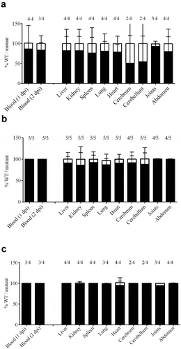 Figure 5. Bacterial load in blood and organs after intravenous infection of pigs with strain 10 and mutant derivatives (a) 10∆penA, (b) 10∆SSU1869, and (c) 10∆SSU1940. Cells of strain 10 and mutant derivatives carrying a spectinomycin-resistance marker, were mixed 1:1 and the resulting suspensions were used to infect animals. Bacterial loads of the wildtype and mutants in blood, one- and two-day post-infection (dpi), in internal organs and brain, four dpi, were determined by plating on solid media containing or not spectinomycin and counting colony-forming units after overnight incubation. The ratio wild type/mutant is shown and the number of animals that resulted positive for each strain is depicted at the top. The ratio wildtype/mutant in blood remained similar to the three dpi.