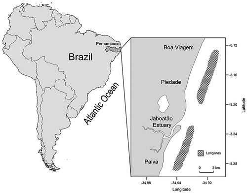 FIGURE 1. The study area depicting the location of the Pernambuco State within the northeastern coast of Brazil and the study site off Recife.