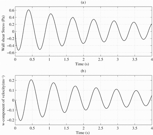 Figure 12. The variation with time of (a) the wall shear stress at a point on the wall above the rising Taylor bubble and (b) the w-component of the velocity at the same height and well outside of the Stokes boundary layer.