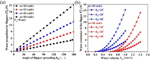 Figure 14. Theoretically calculated values of the flipper hydrodynamics: (a) water propulsion based on the flippers and (b) water resistance based on the flippers.