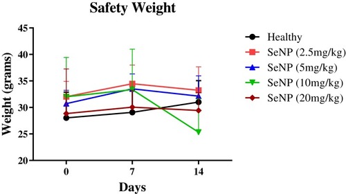 Figure 14 Weight record of SeNPs-treated arthritic mice at day 0, 7, and 14 of treatment. Statistical analysis was performed using two-way ANOVA with Bonferroni’s post hoc analysis and results are reported as mean±SD.