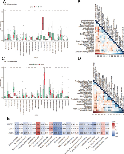 Figure 6 Landscape of immune cells in atherosclerosis. (A) The abundance of 24 immune cell types in atherosclerosis (red) and control (green) specimens. *p < 0.05, **p < 0.01, ****p < 0.0001. (B) Associations between distinct immune cell types. *p < 0.05, **p < 0.01, ***p < 0.001. (C) The abundance of 22 immune cell types across two PANoptosis-based subtypes. *p < 0.05, ***p < 0.001, ****p < 0.0001. (D) Associations between distinct immune cell types. *p < 0.05, **p < 0.01, ***p < 0.001. (E) Associations between 22 immune cell types and diagnostic genes.