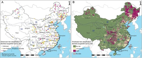 Figure 4. Recorded and predicted risk distribution of Borrelia burgdorferi sensu lato presence in China. (A) Borrelia burgdorferi sensu lato risk classification based on literature review. Background points sampled from the grid map based on distribution of positive records. The coordinates of polygon centroids were displayed for city-level or county-level evidence. (B) Predicted risk distribution of Borrelia burgdorferi sensu lato after averaged 100 bootstrapping BRT models. The thresholds of stage 1 and stage 2 model was determined by the cut-off values at which the Youden index of the test set was maximum. Black Doted Circles represent different high-risk hotspot areas. I = Northeast region, II = North China region, III = Inner Mongolia-Xinjiang region, IV = Qinghai-Tibet region, V = Southwest region, VI = Central China region, and VII = South China region.
