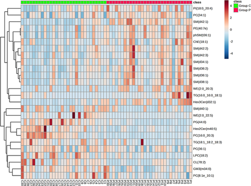 Figure 4 Clustering of differential lipids in Group P and Group C by heatmaps.